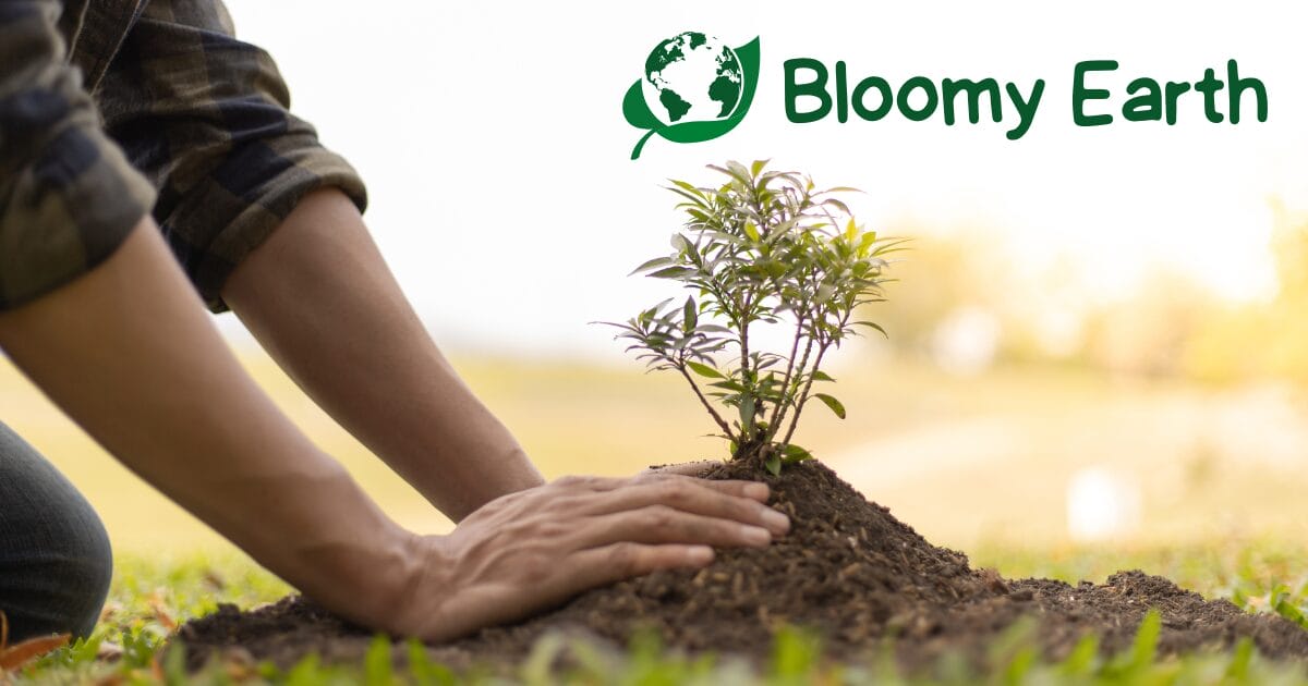 Planter le changement : Comment nous transformons chaque certification en action pour le climat 2026 Projets de reboisement menés par Bloomy Earth pour restaurer les forêts et compenser les émissions de carbone